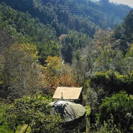 Green Man Yurt Пенела Екстер'єр фото