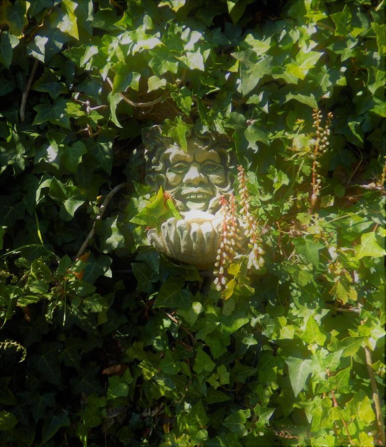 Green Man Yurt Пенела Екстер'єр фото