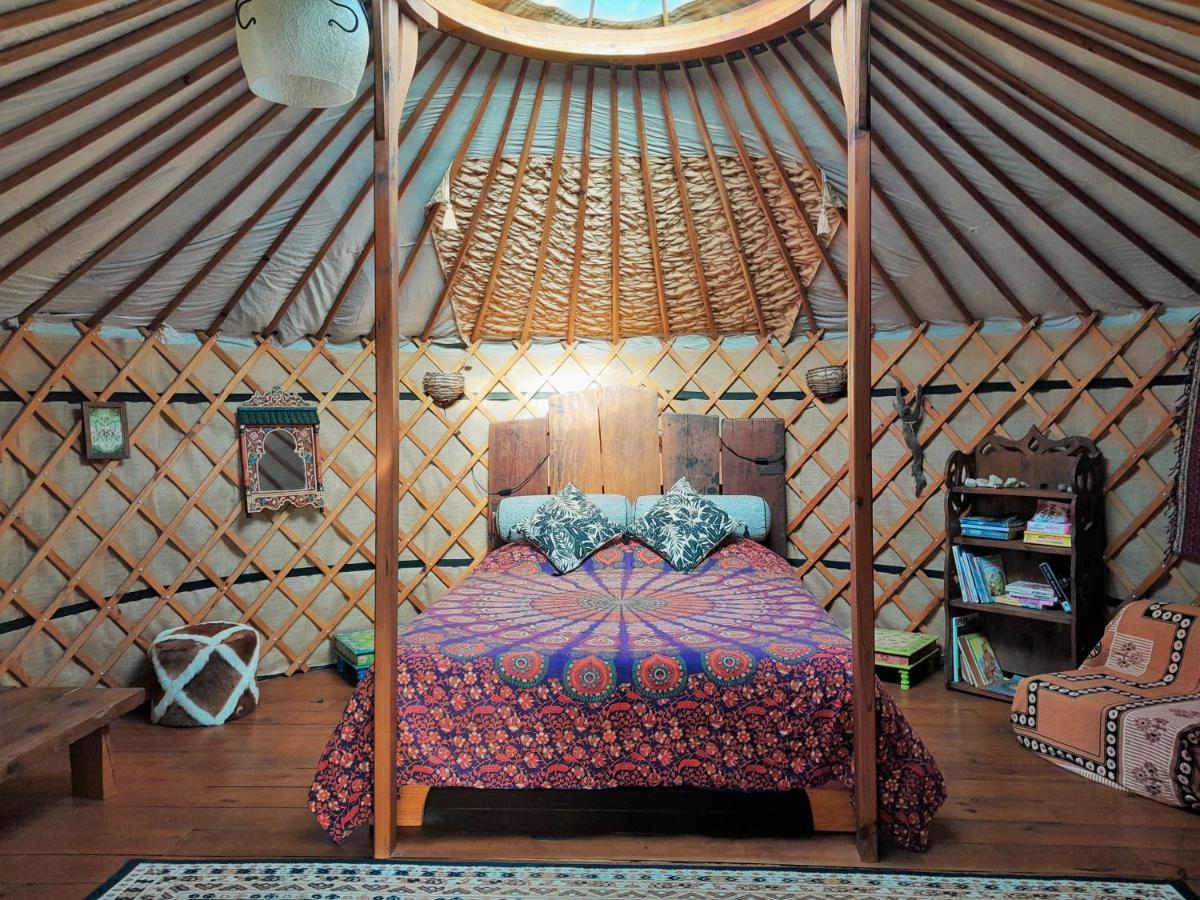 Green Man Yurt Пенела Екстер'єр фото